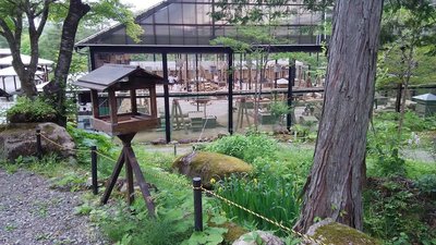 🐿️ 다람쥐의 숲 히다 산야초 자연정원(리스노모리 히다산야소 시젠테이엔)